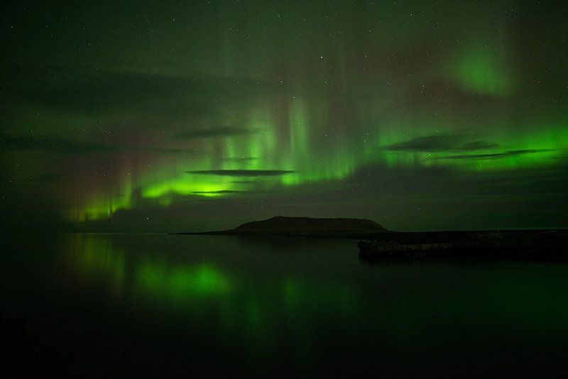 Мыс Кожевникова и его обитатели фото превью