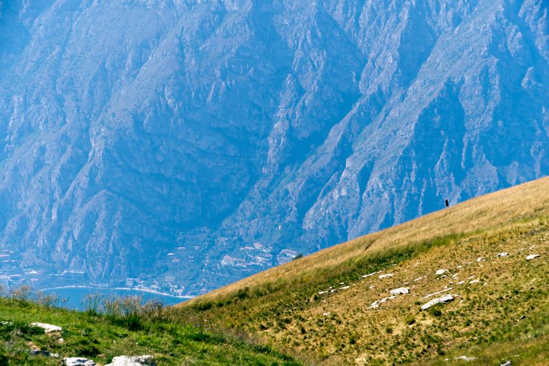 Гардовские зарисовки фото превью