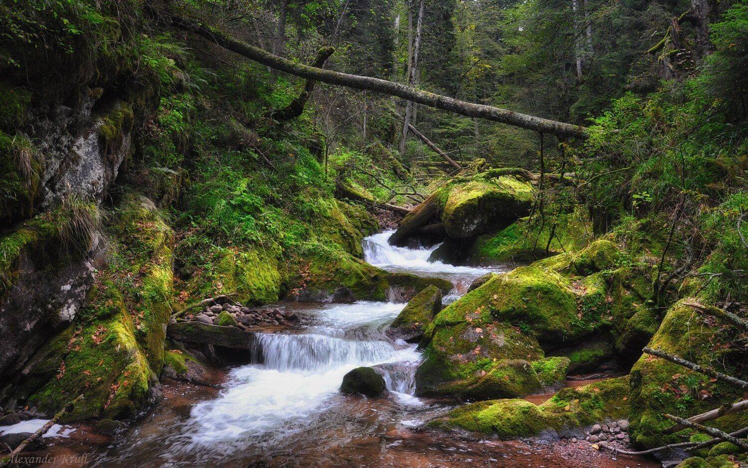 кавказ, кчр, шантацара, Александр Круль