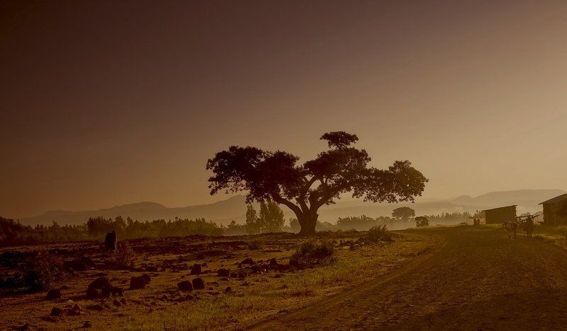 **** фото превью