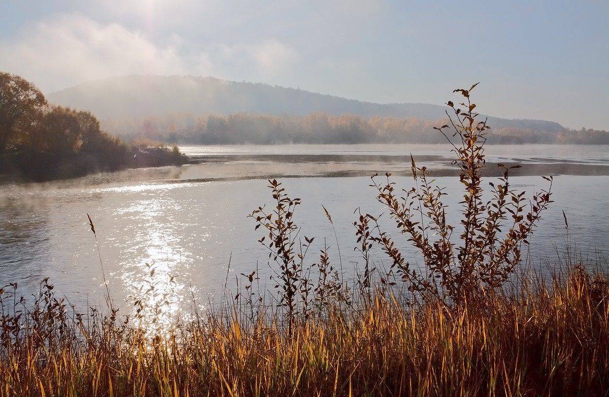 , Николай Морский