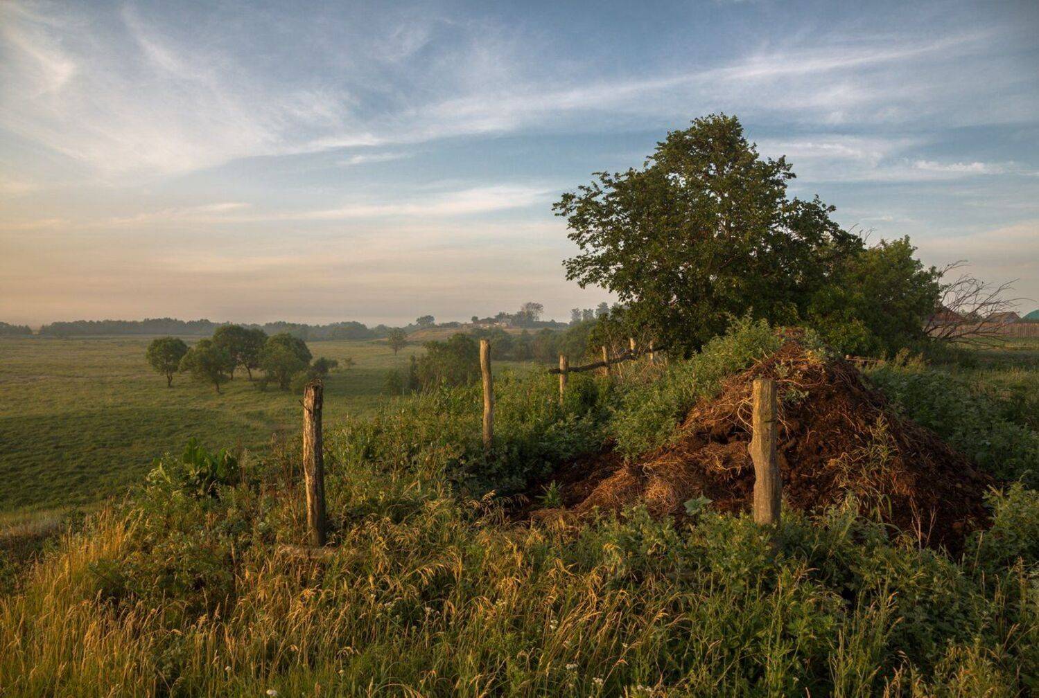 , Александр Бредихин