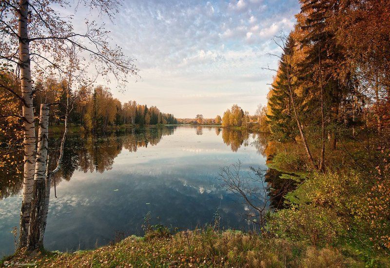 Вечер, Небо, Облака, Осень, Пейзаж, Природа, Пруд Нарядила осень землю... фото превью