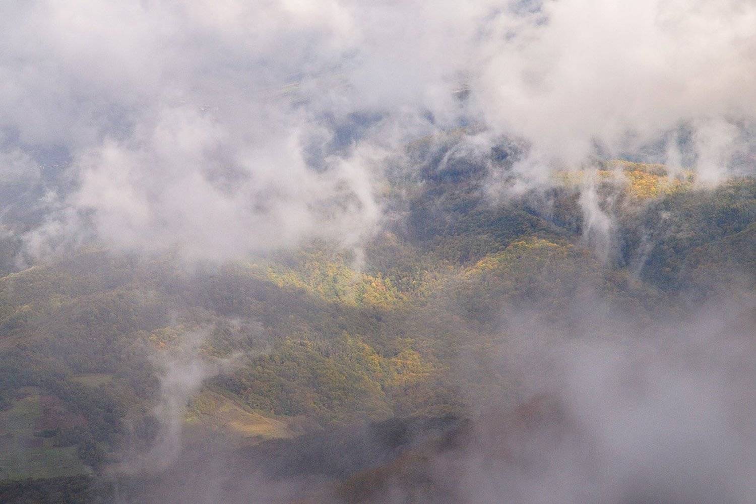 , Александр Ящук