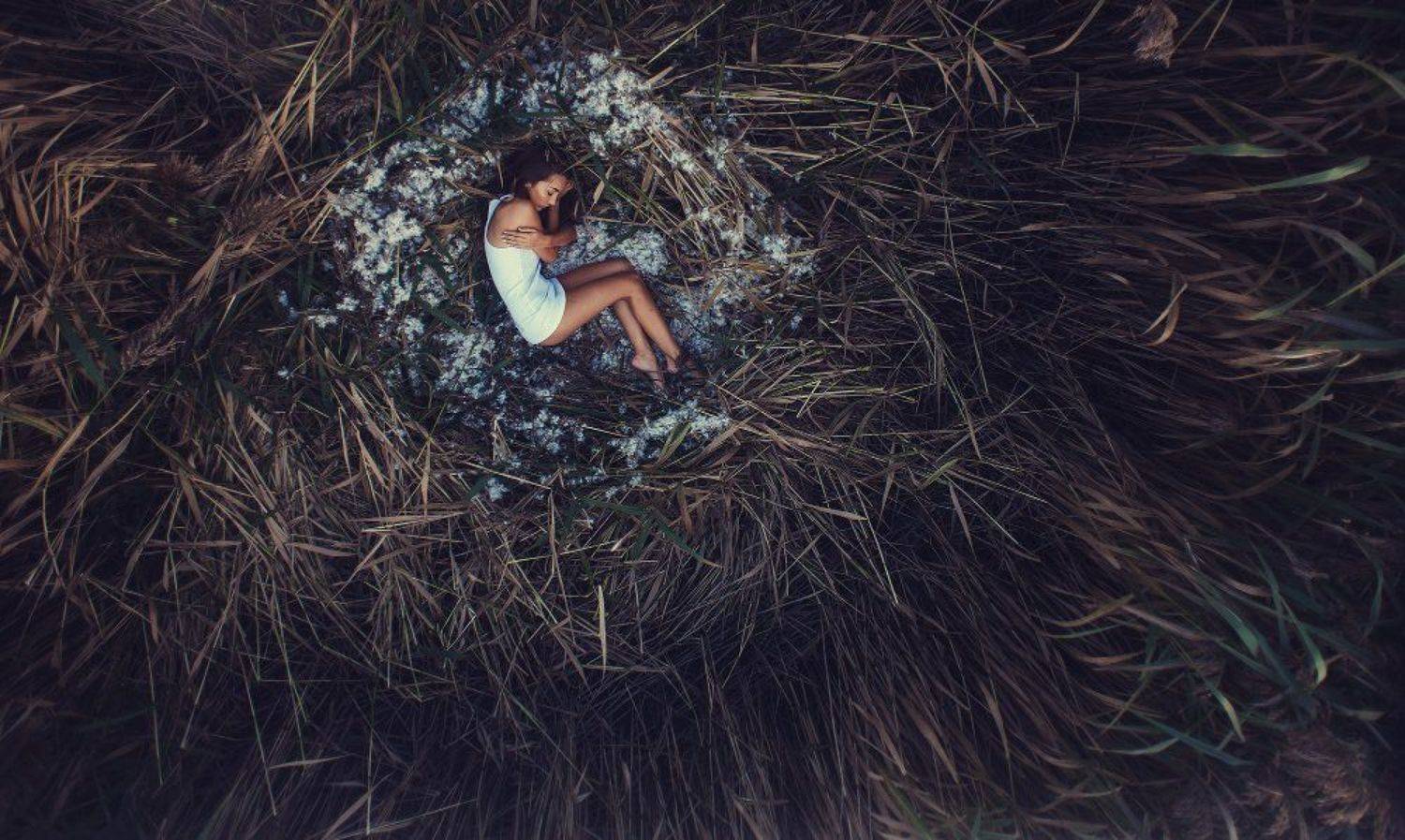 , Тихомиров Николай