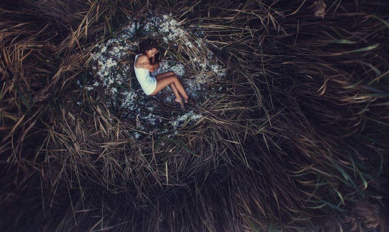 AR фото превью