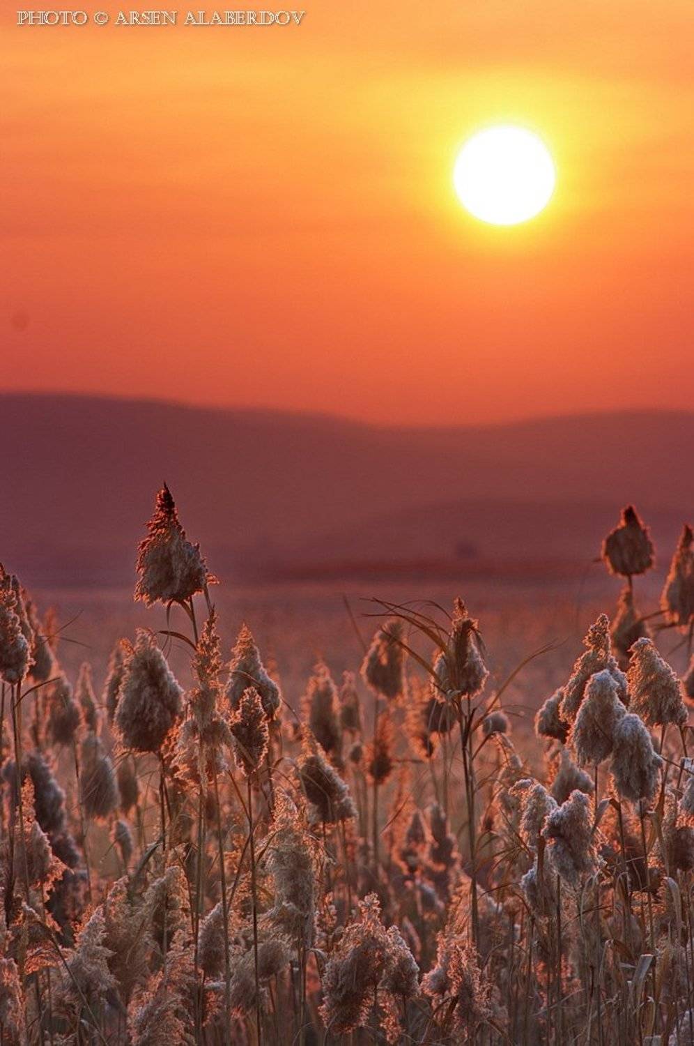Восход, Горы, Камыш, Небо, Солнце, УТРЕННЕЕ НЕБО, Утро, Арсен Алабердов