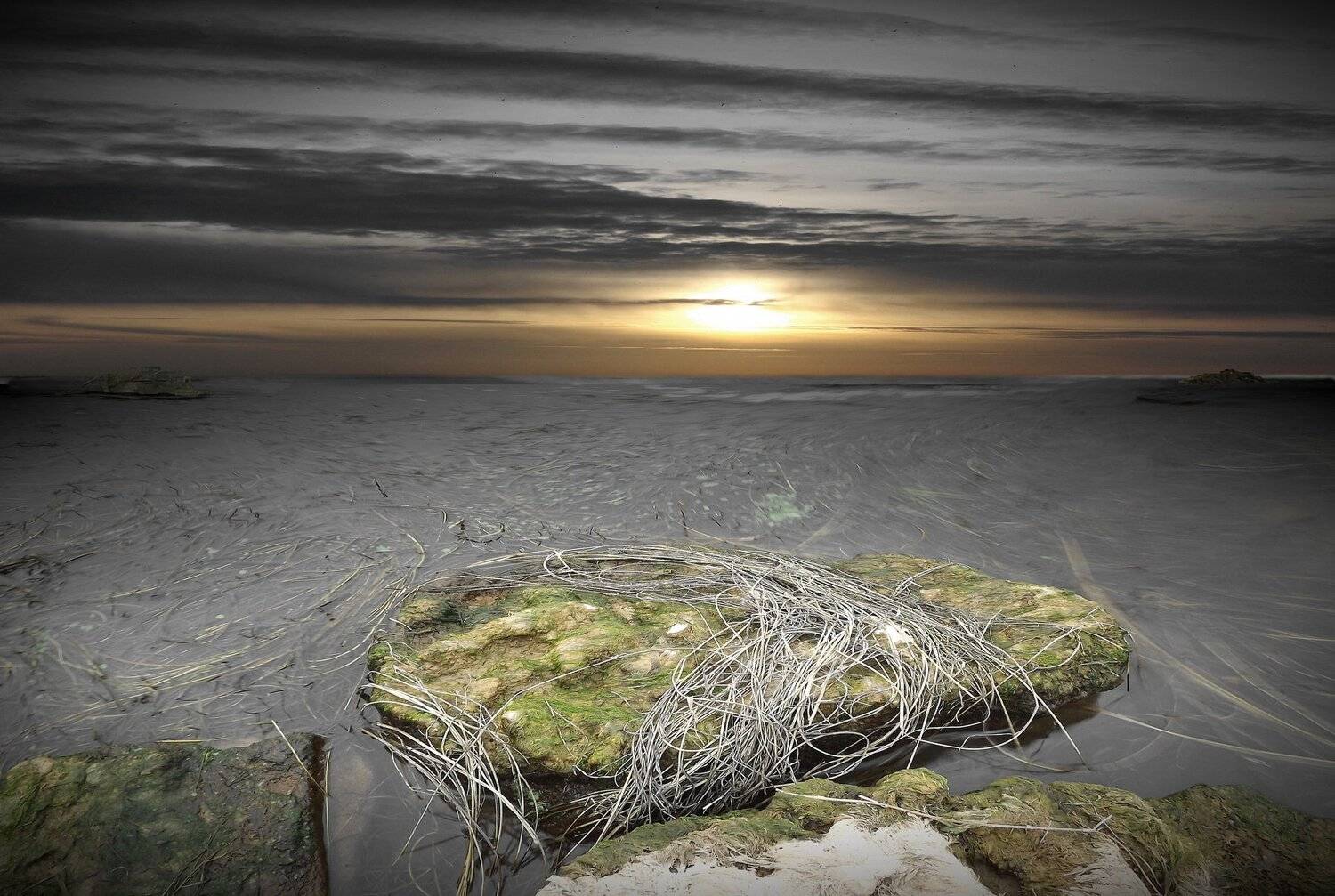 одесса, Сергей Кошелев