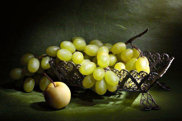 натюрморт, Ончукова Наталья