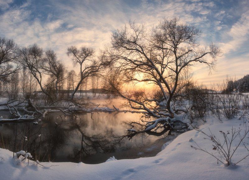 Воспоминания о будущей зиме фото превью