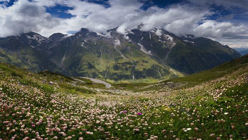 Пестрый мир