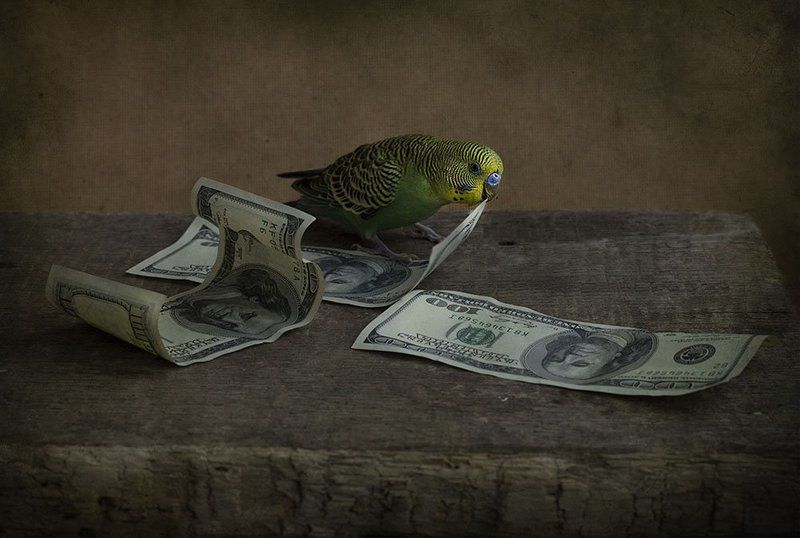 Санкции фото превью