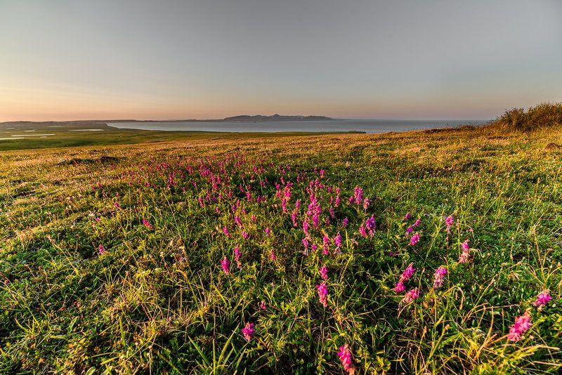 *** фото превью