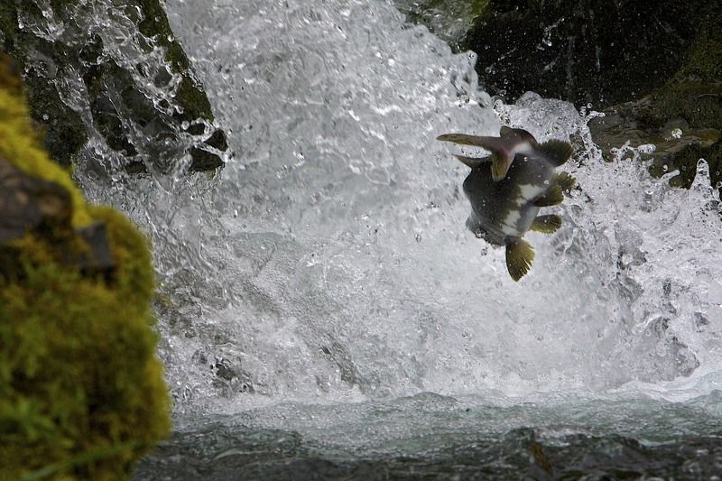 Полет у хрустальной стены фото превью