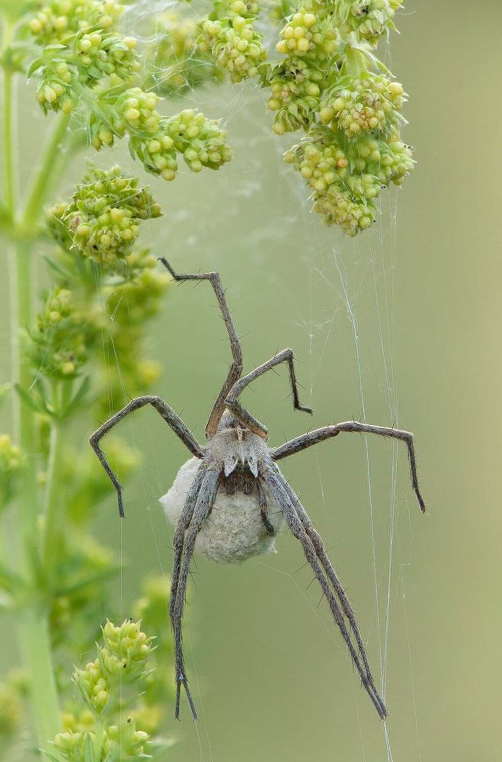 , Кузнецов Дмитрий