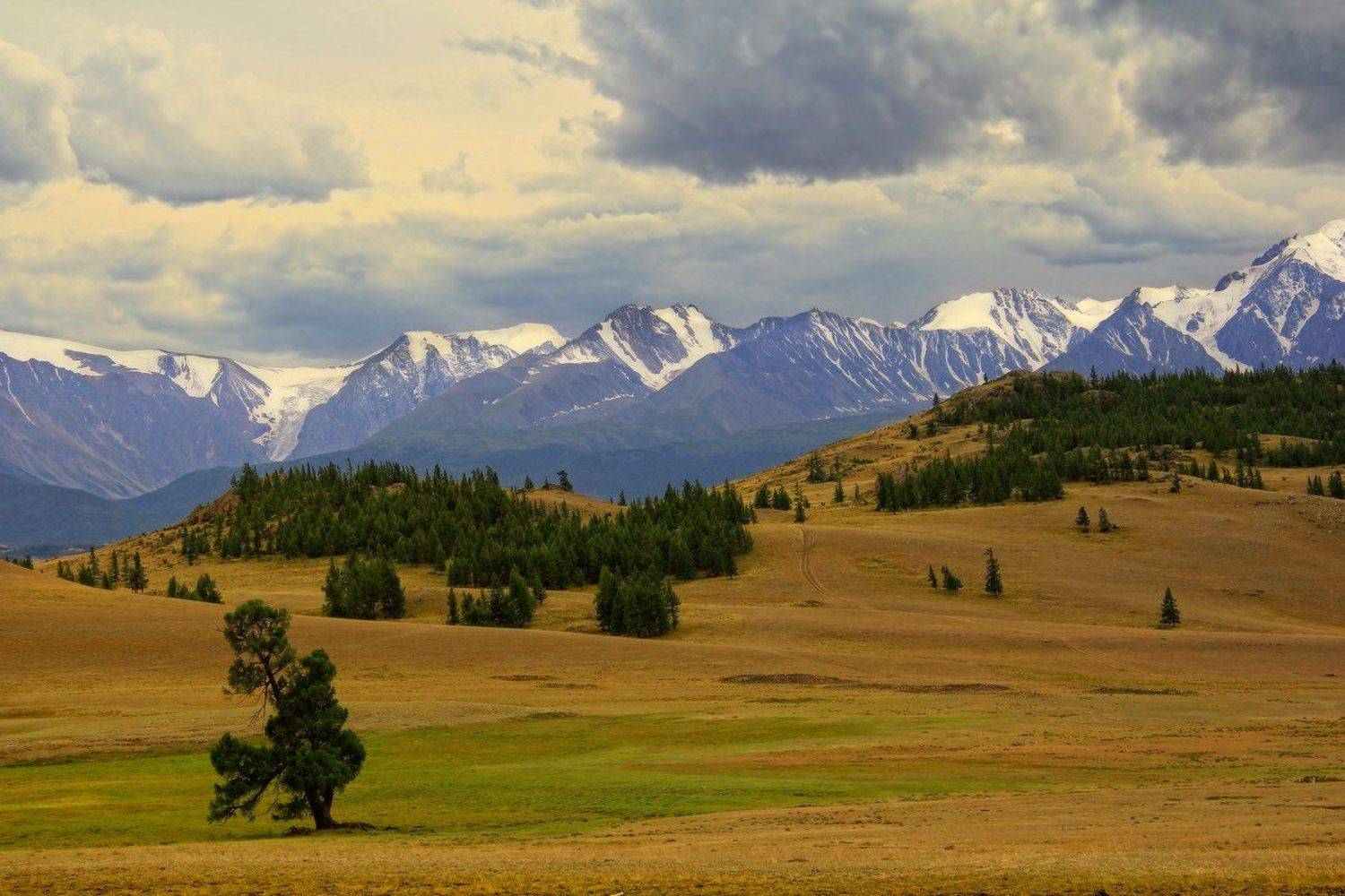 алтай, горный алтай, северо-чуйский хребет, горы, Галина Хвостенко