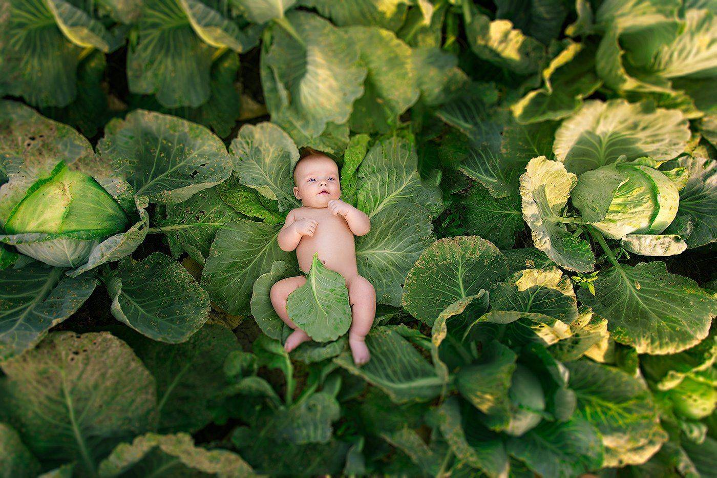 , Анопченко Ирина