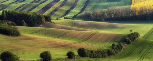 Моравский ковролин