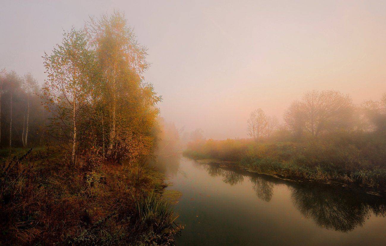 , Сергей (Bekr)