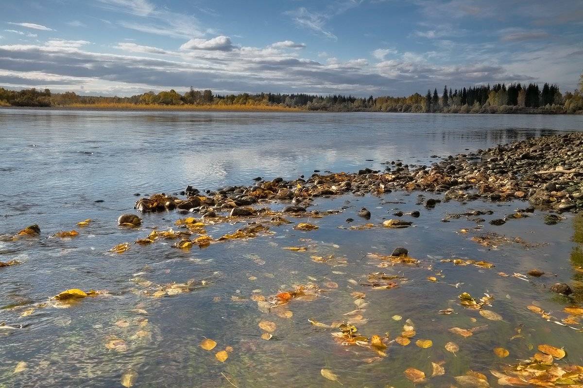 , Николай Морский