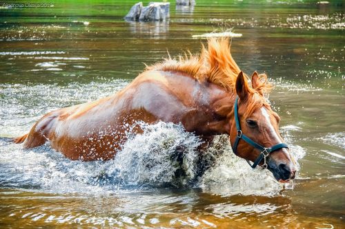 Водные процедуры 