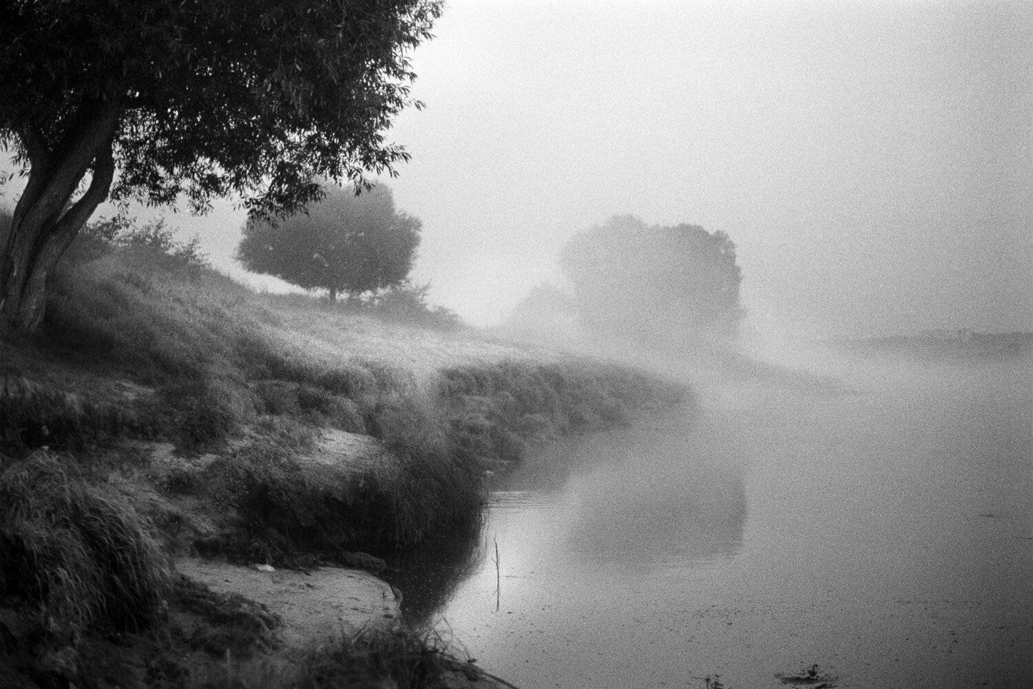 , Медведев Александр