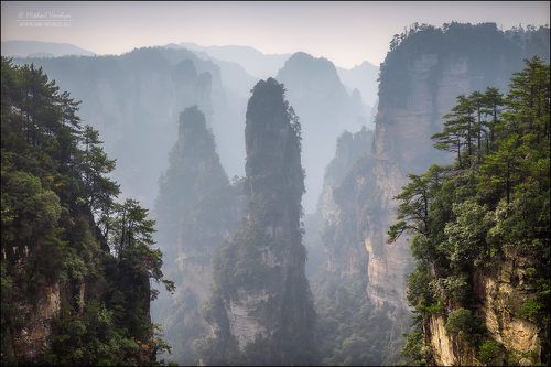 Мир Пандоры...