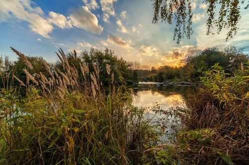 Осень Жариковой дачи