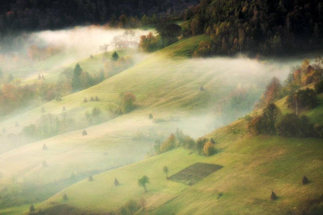 , Stefan Chirobocea