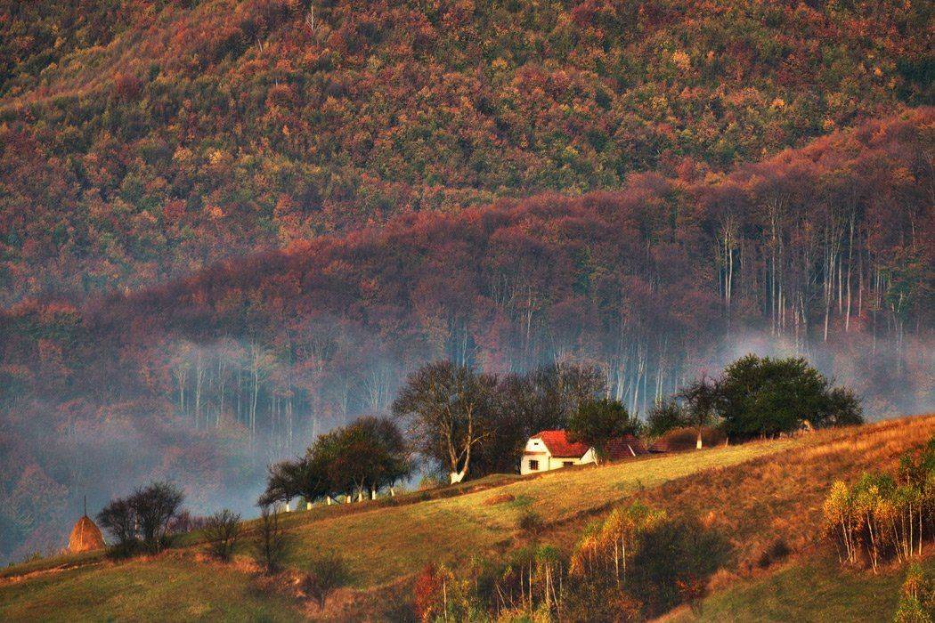 , Stefan Chirobocea