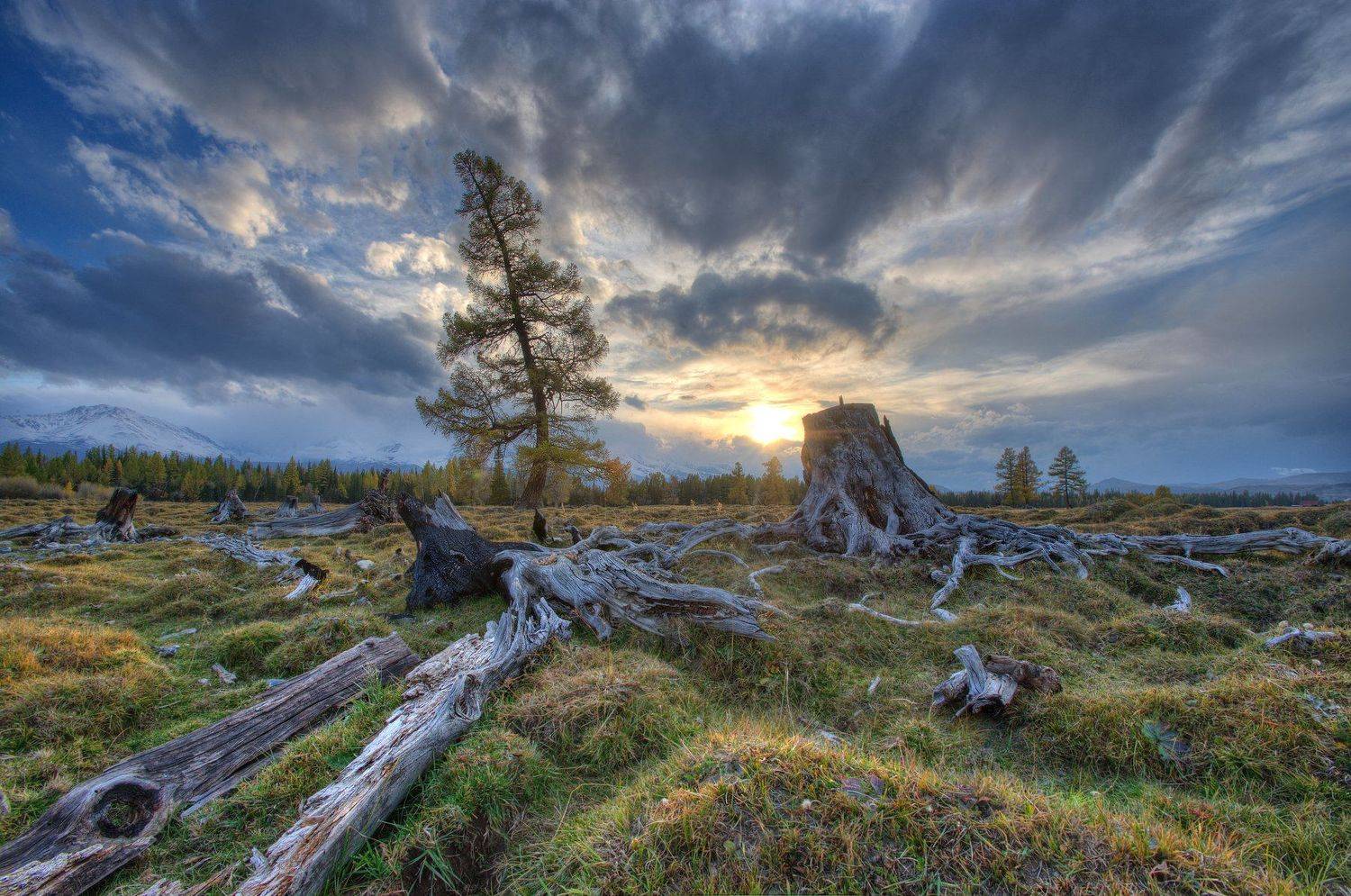 , Бурцев Дмитрий