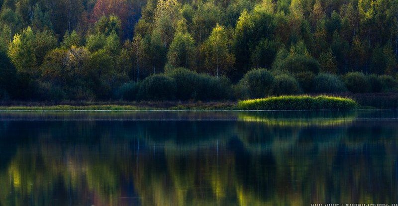 Костромское водохранилище Островок фото превью