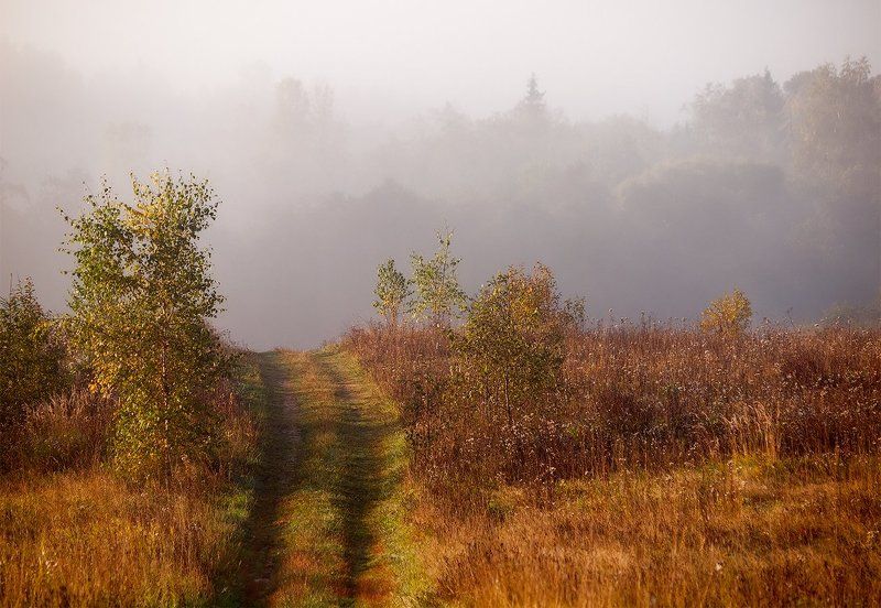 Про Радонежские туманы... фото превью