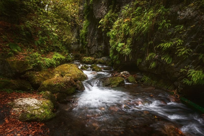 ущелье, река, лето, пейзаж, ручей Река Лошхи фото превью