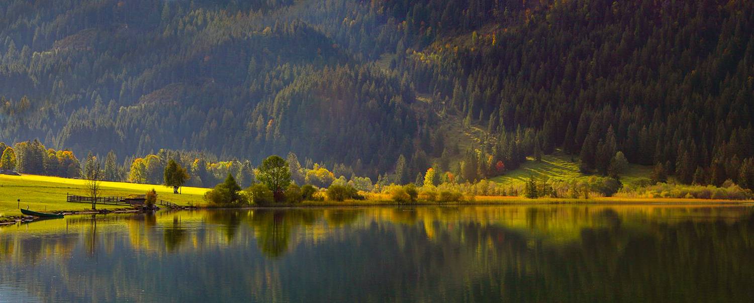 , Игорь Дубровский