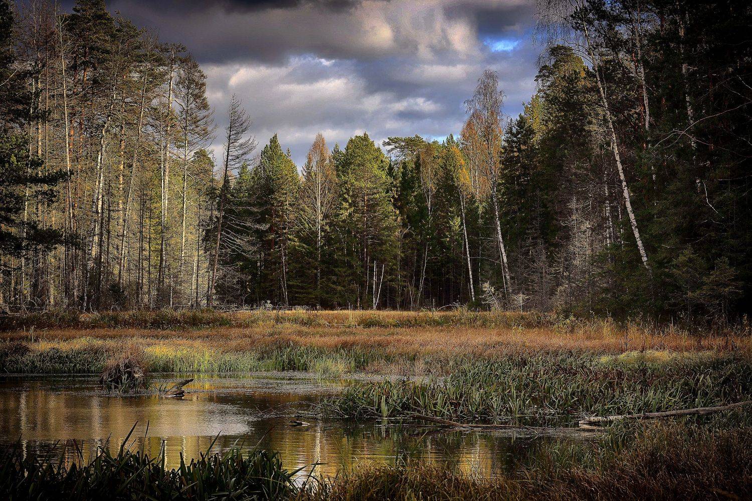 , Павел Мартюшев