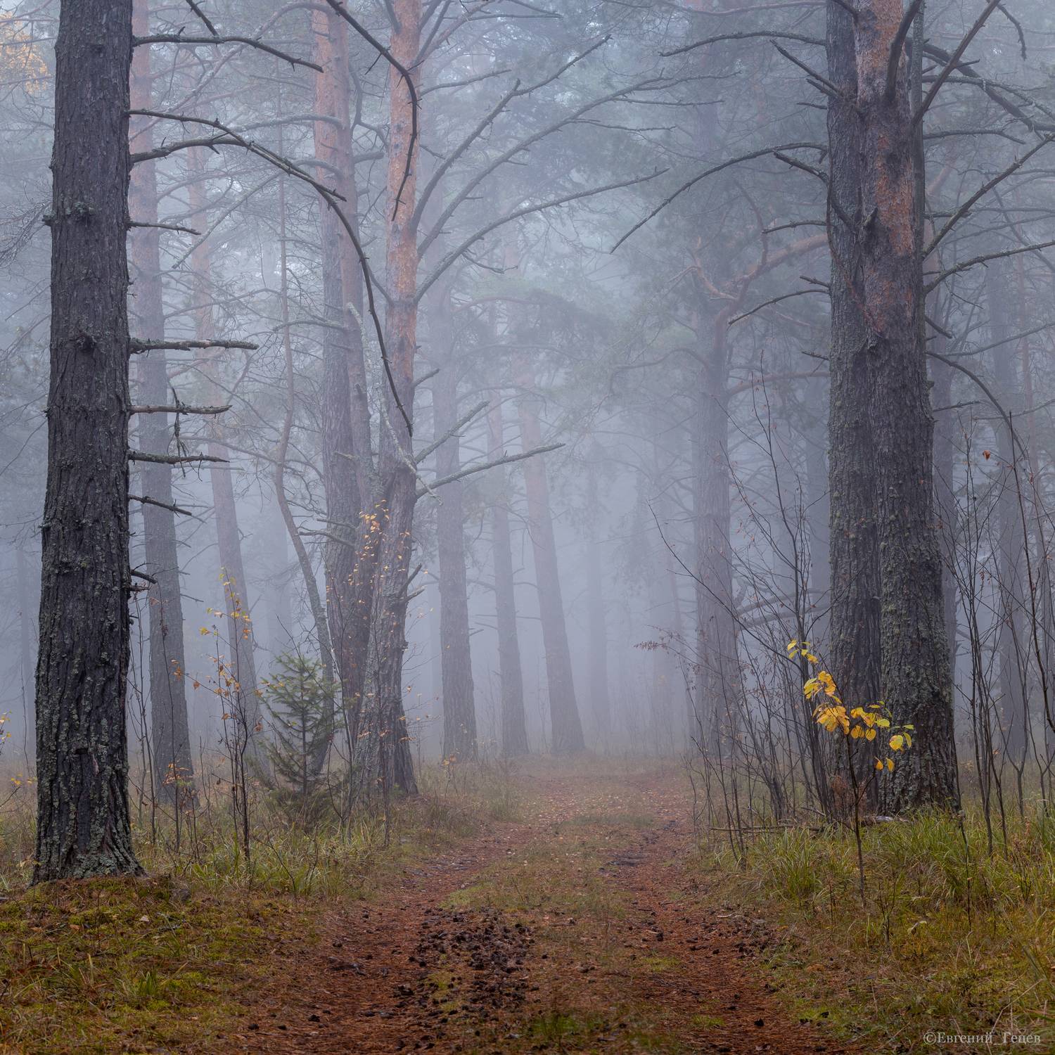 пейзаж, рассвет, осень, туман, россия, урал, Евгений Гецев