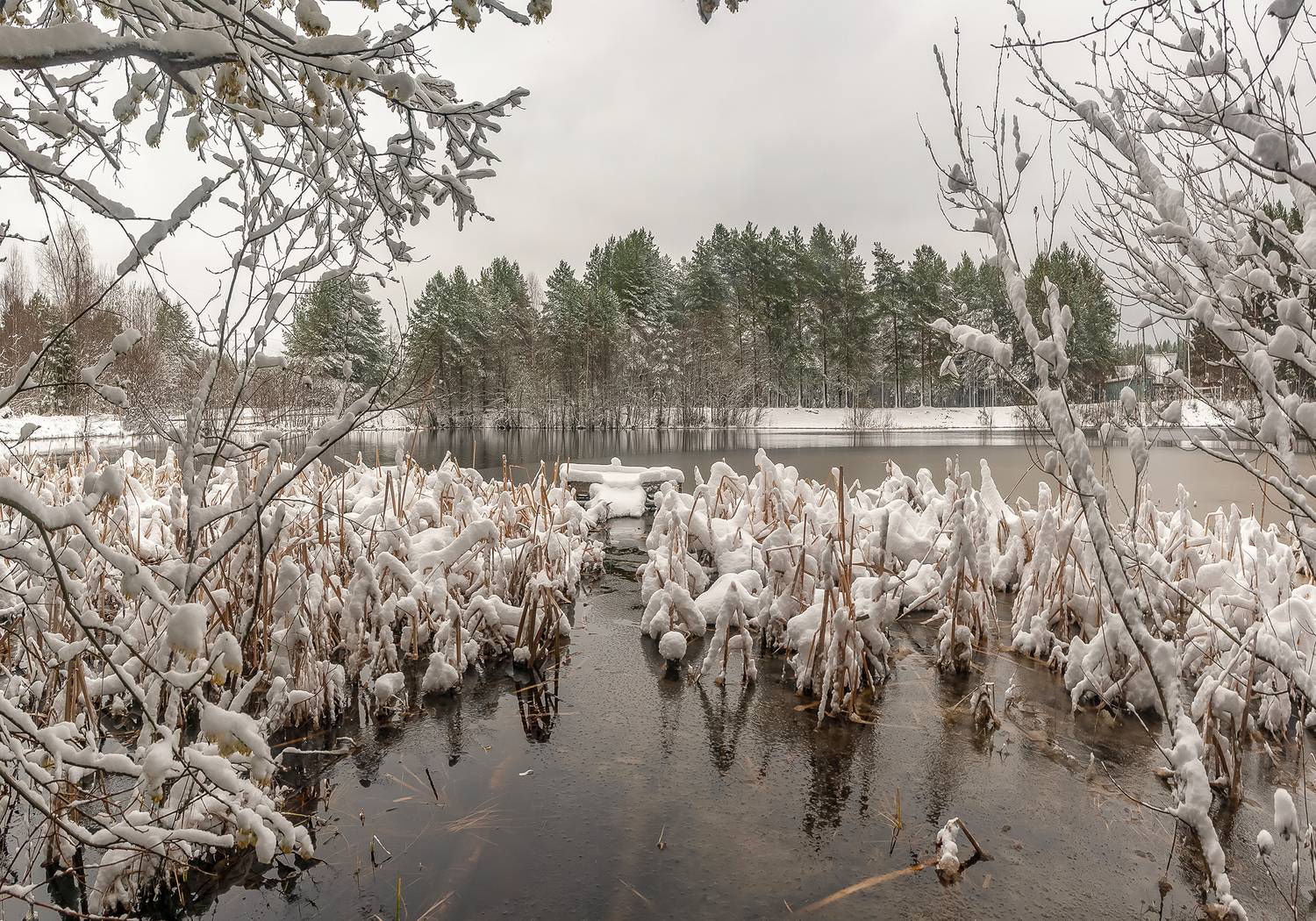снег, озеро, камыш, Анкудинов Леонид