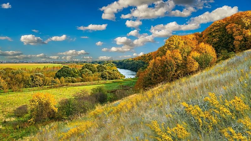 Река Быстрая Сосна. Октябрь. фото превью