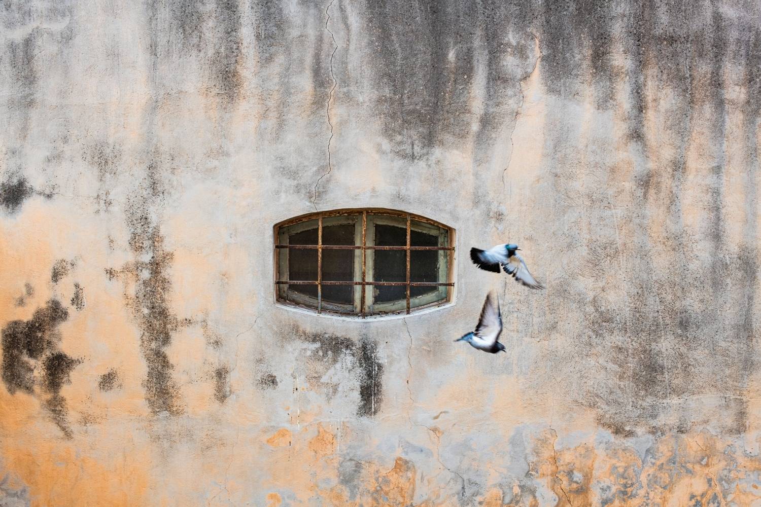 , Francisco Jos&eacute; L&oacute;pez Fern&aacute;ndez