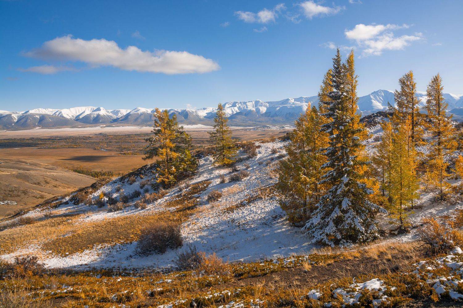 россия, горный алтай, деревья, северо-чуйский хребет, осень, вёдро, Андрей Поляков
