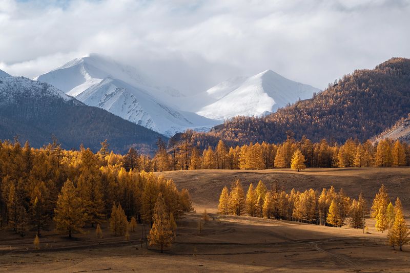ока, саяны, аха, осень Белые гиганты над осенней долиной фото превью