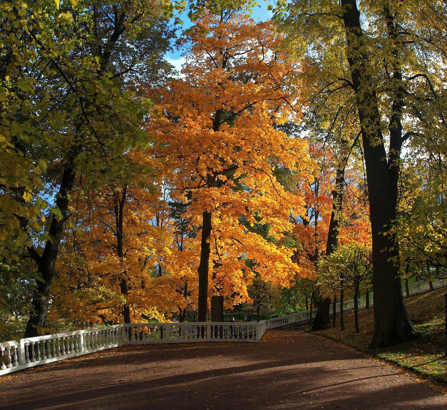 , Сергей Григорьев