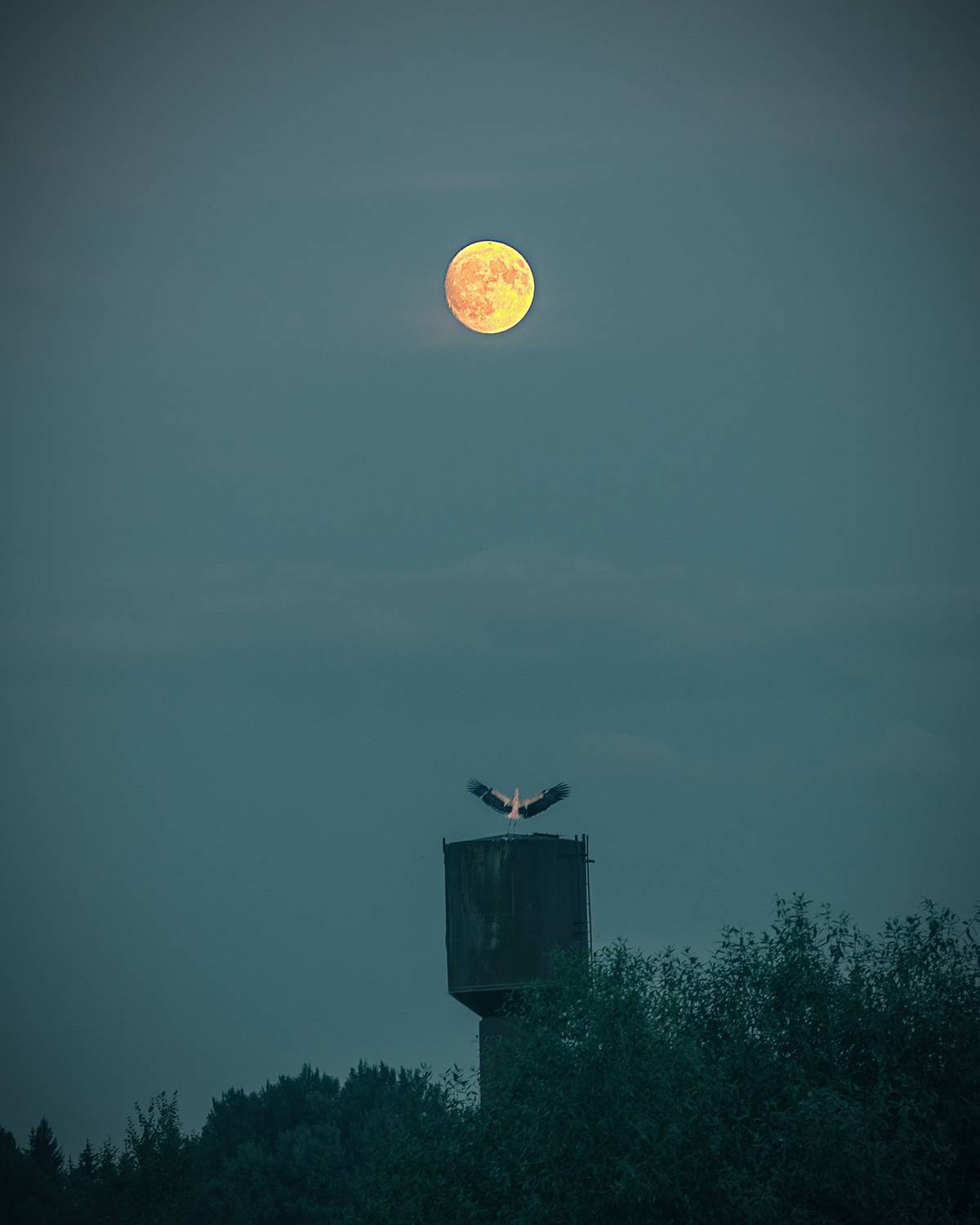 night, moon, stork, water tower, tower, countryside, country, village, луна, ночь, башня, водонапорная башня, деревня, природа, пейзаж, nature, landscape, Колесенко Иван