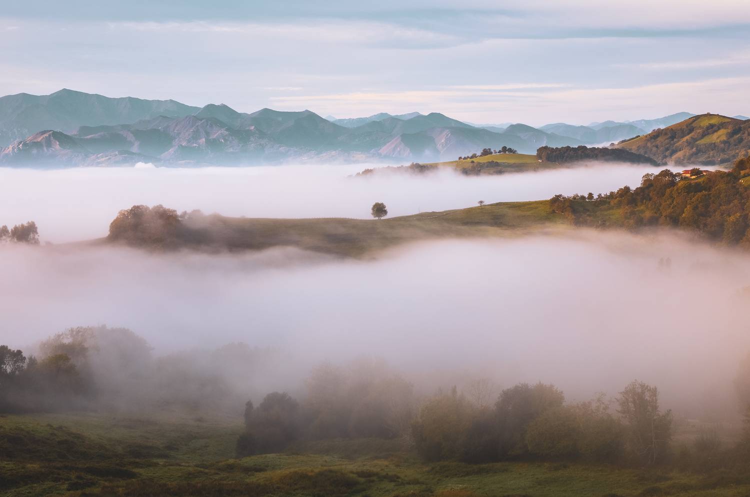 , Алекс Римский