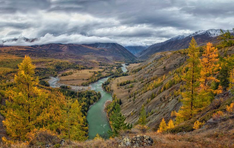 После осеннего дождя... фото превью