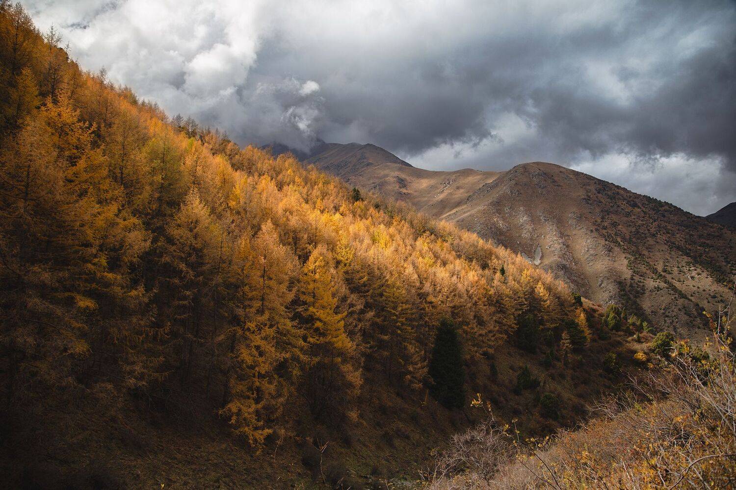 кыргызстан, ала-арча, Элина Магалимова