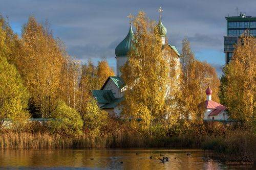 Золотая осень в Пулковском парке