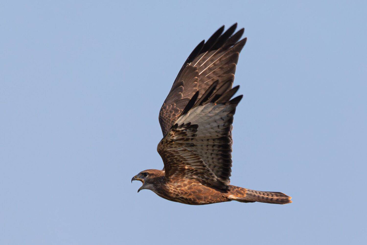 , Гильманов Артур