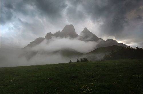 В объятьях тумана